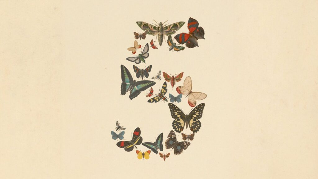 Claude Fable 5 官方主視覺圖