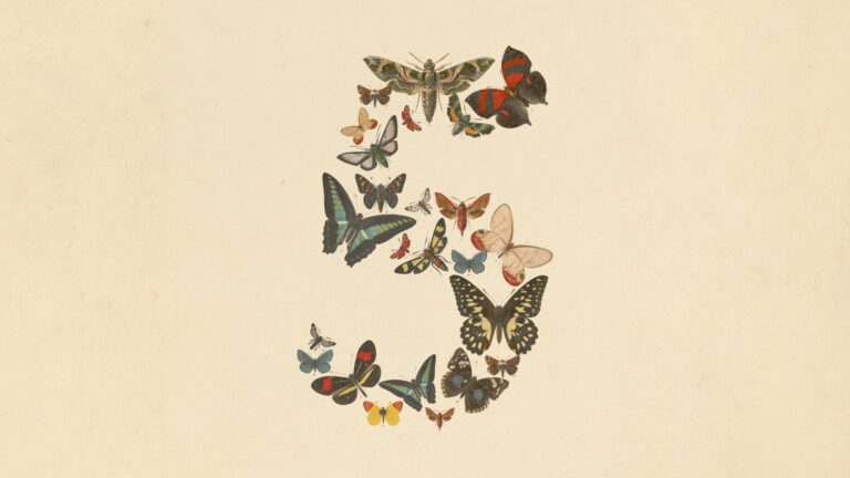 Claude Fable 5 官方主視覺圖